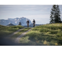 BICICLETA ELTRICA CORRATEC E-POWER ILINK 180 FACTORY 25