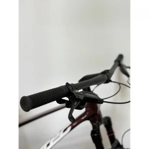 Bicicleta Corratec Revo Bow Marrón